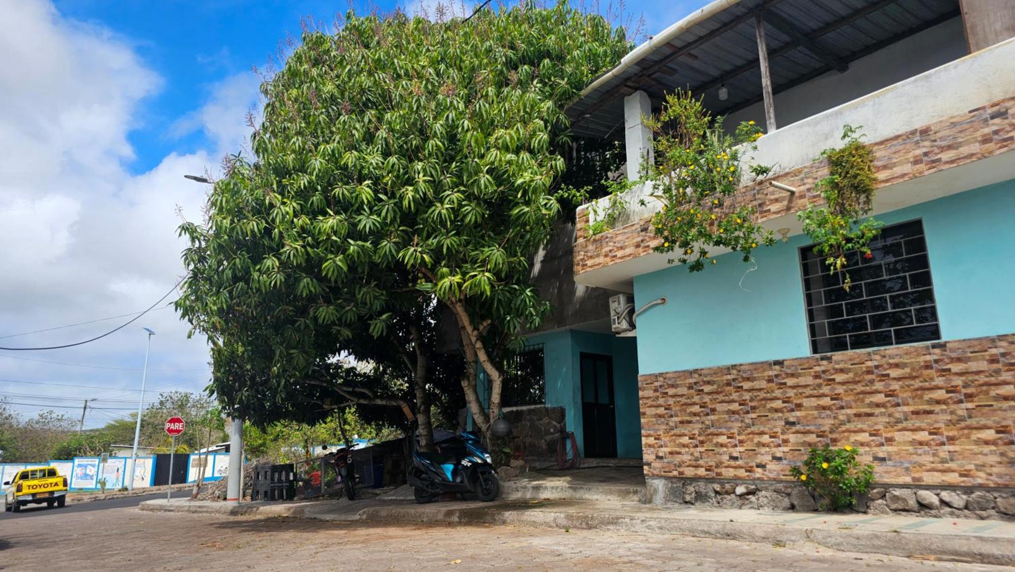 Flor'S House Apartment San Cristobal Bagian luar foto